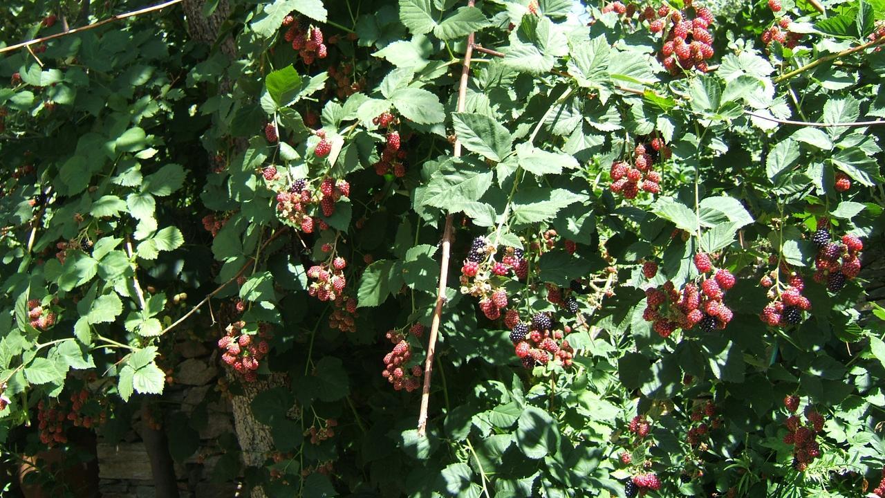 فندق Nives Nimfaíon المظهر الخارجي الصورة